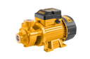 Water Pump 1.0 HP 750W مضخة ماء INGCO