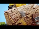 Cordless chain saw منشار سلسلة لاسلكي INGCO